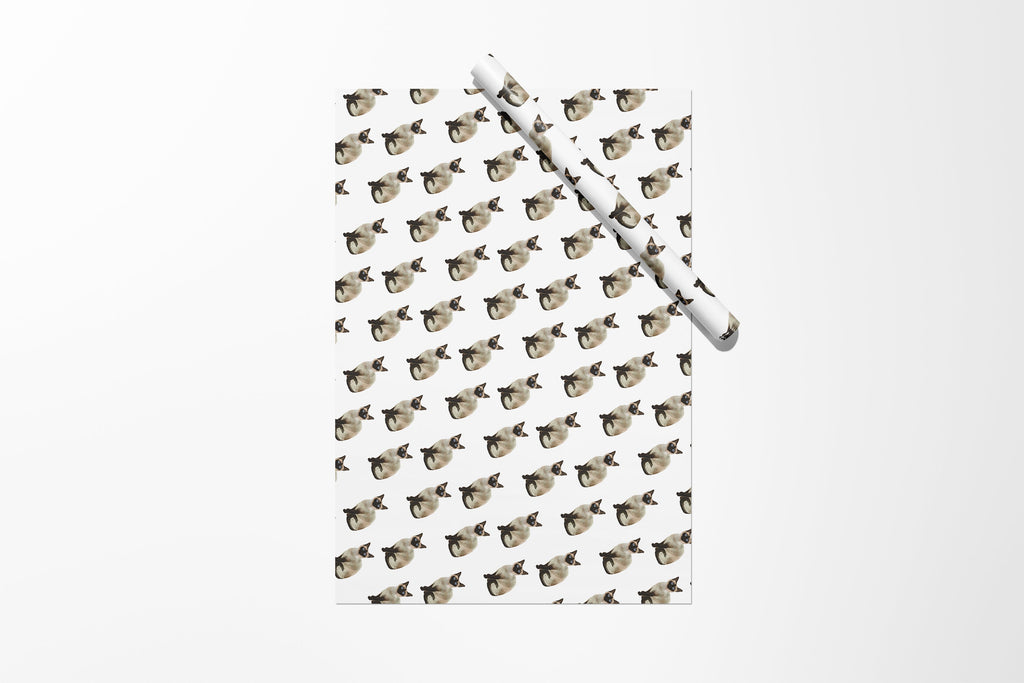 Siamese Cat Gift Wrap