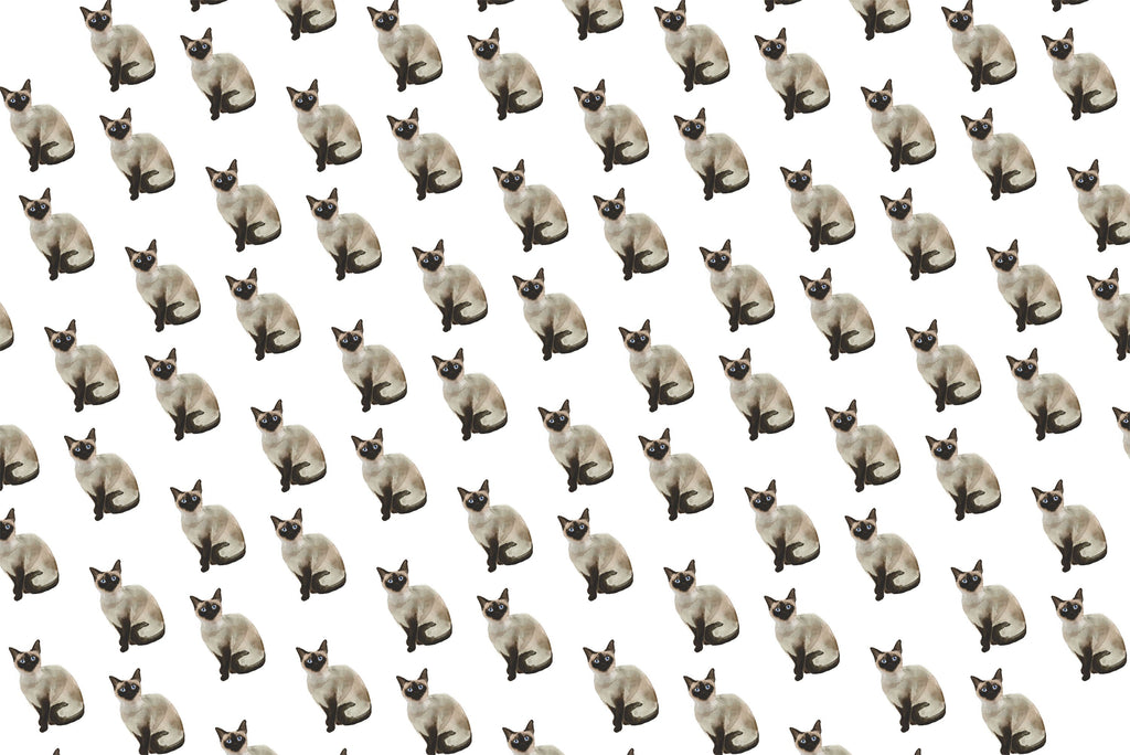 Siamese Cat Gift Wrap