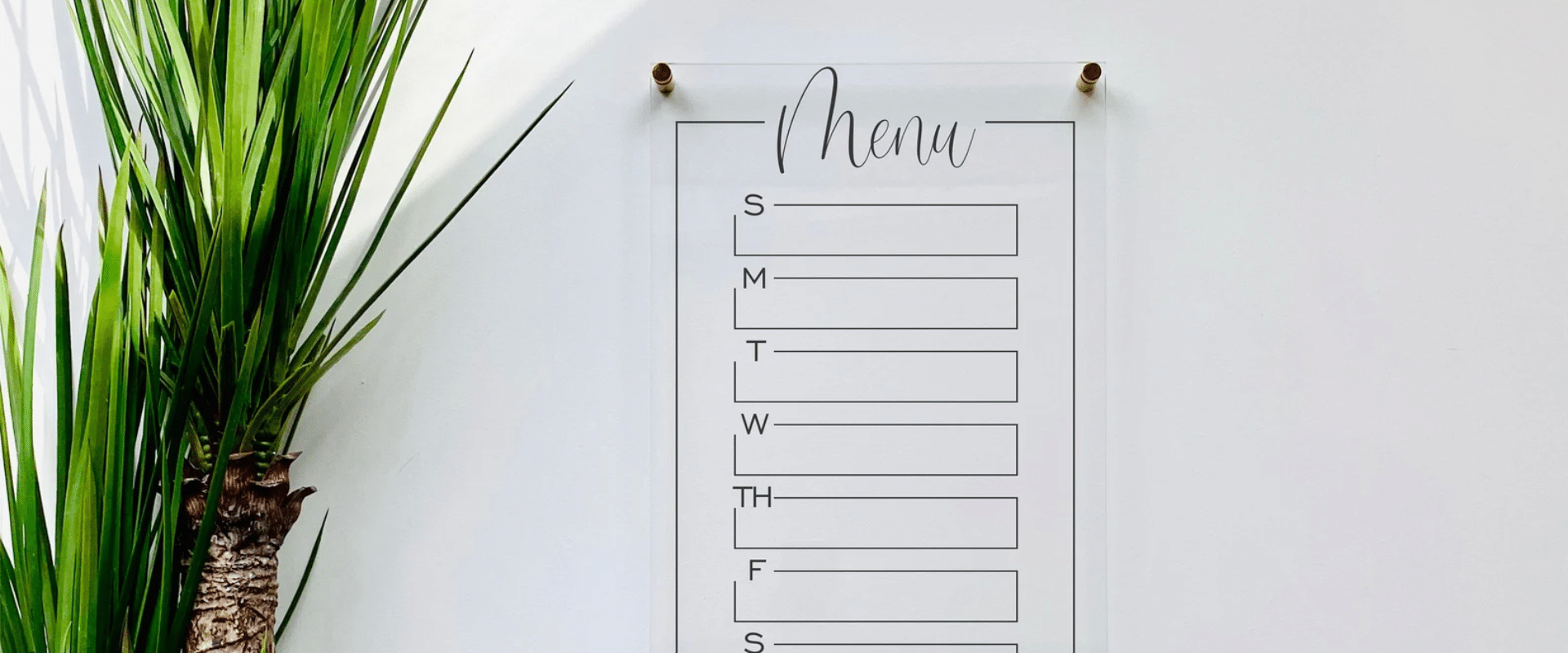 An acrylic menu board hanging on a wall beside a plant.