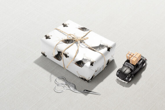 A Christmas gift box with Border Collie Dog Wrapping Paper and a pair of scissors next to it.