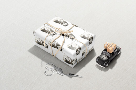A gift wrapped with Alaskan Malamute Wrapping Paper and a pair of scissors.