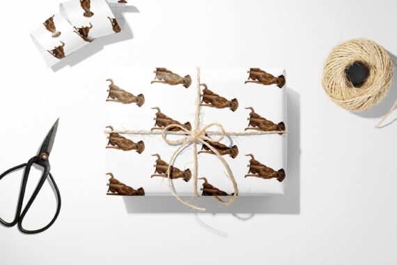 A Chocolate Labrador Retriever Wrapping Paper in Christmas wrapping paper with scissors.