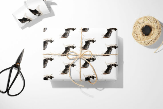 Gift Border Collie Dog Wrapping Paper and scissors on a white table.