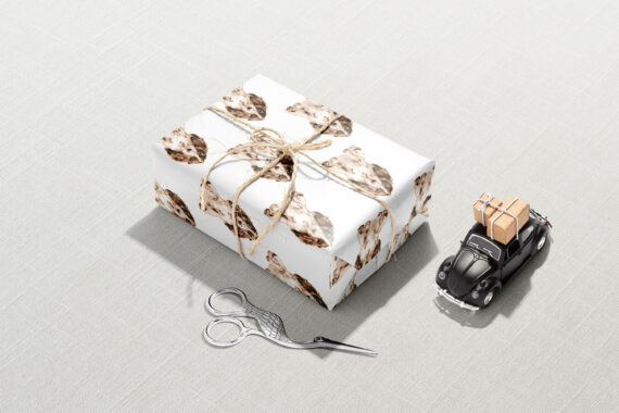 A gift wrapped in Cocker Spaniel Wrapping Paper next to a pair of scissors.