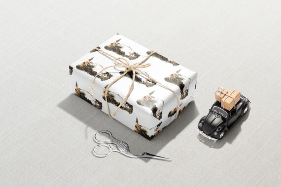 A unique Bernese Mountain Dog wrapping paper with a car and scissors next to it.