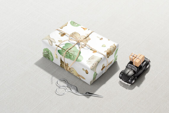 A Christmas gift wrapped with Bunny and Forest Wrapping Paper and a car next to it.